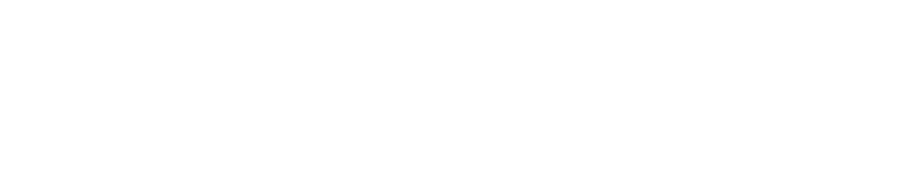 logo Leon casino